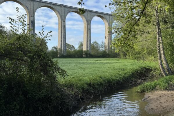 THM France - Jonathan Warden Tree Surgery Elagage Fully Insured and qualified